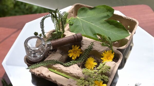 Marley Natural Glass & Walnut Spoon Pipe - Image 7