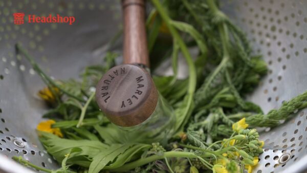 Marley Natural Glass & Walnut Spoon Pipe - Image 3